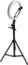 Andowl Ringlicht 26cm 3200 - 5600K mit Bodenstativ und Handyhalterung Andowl Ringlicht 26cm 3200 - 5600K mit Bodenstativ und Handyhalterung