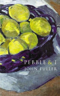 Pebble & I John Fuller Chatto & Windus