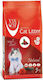 Van Cat Пясък за котки Бентонит с Аромат Natural 7lt