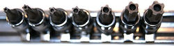 Rooks Set 7 Chei Torx