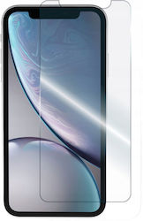 Pavel Lux 2.5D 0,3mm Gehärtetes Glas (iPhone 11 / XR)