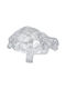 Keskor Decorative Animal Figure Made of Glass 17x12x7cm