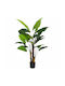 Künstliche Topfpflanze Streliczia 190cm Sds-25987