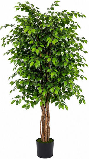 Изкуствено Растение Ficus Benjamin В Саксия 180см Sds-25988