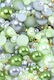 Pietre Decorative Jumătate Perle 20gr Verde Mix