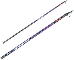 Falcon Venere Viola 6m