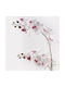 Plantă Decorativă în Ghiveci Orhidee Albă Inart 36x17x65 Cm
