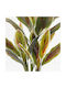 Decorative Potted Plant Cycas Inart Green Φ 55x55x80 Cm