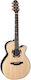 Takamine Takamine Nex Полуакустична Китара Cuta...