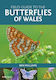 Field Guide To The Butterflies Of Wales - Pelagic Publishing - Paperback / Softback