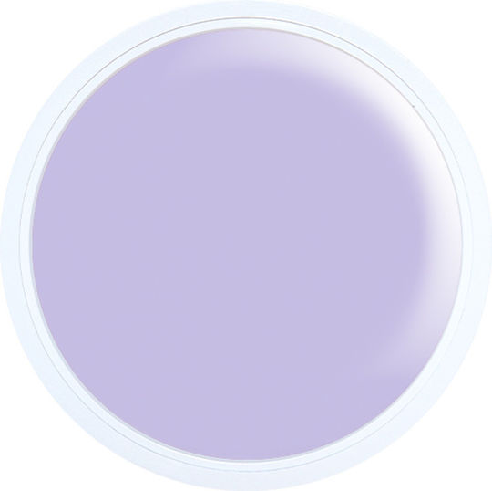 Alezori A&g Hybrid Acrygel Nails Lilac 15ml 100gr