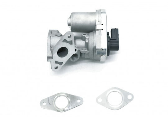 Egr-Ventil Dichtung Psa Ford Fiat 1618hq