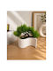 Stewehome Decorative Artificial Bonsai Potted Plant Home Office Green 16x16 Cm