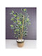Stewehome Decorative Benjamin Tree Woven Straw Pot Cotton Fabric 3 Trunks Green 16x12x8 Cm