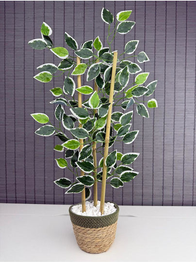 Stewehome Decorative Benjamin Tree Woven Straw Pot Cotton Fabric 3 Trunks Green 16x12x8 Cm