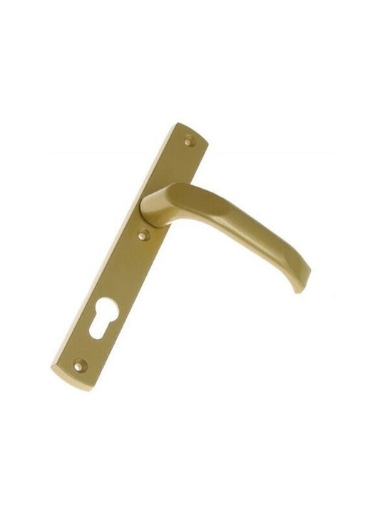 WC Door Handle Gold