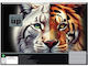 Μπλοκ Ζωγραφικης Bmu Α4 30 Φυλλα Wild Cats 357-47417