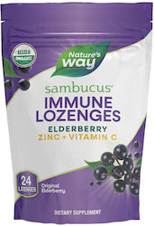 Nature's Way 24 παστίλιες