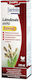 JutaVit Spear Grass Tinktur 150 Ml
