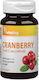 Vitaking Cranberry Fruit Concentrate + C + E 4200 Mg Vitaking 90 Softgels