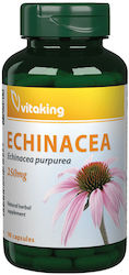 Vitaking Echinacea Purpurea 250 Mg Vitaking 90 Capsules Vitaking Echinacea Purpurea 250 Mg Vitaking 90 Capsules