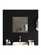 vidaXL Badezimmerspiegel Led 50x50cm Transparent