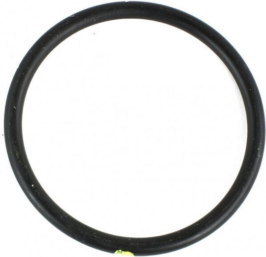 O-Ring Iveco Daily 00 Wasserpumpe Dichtung 2.3jtd Klein 17289680