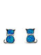 Silver Earrings with Stones