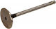 Βαλβίδα Εισαγωγής Vw 1.2/1.6 6v/8v Vl171800