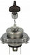 Hart Autolampen Halogen H4 12v 60/55w +50%