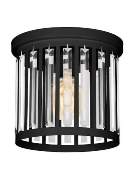 Luminex Ceiling Light Luminex Ceiling Light