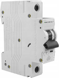 Doktorvolt Ragas Switch 16A