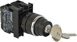 Schneider Electric Industrial Switch