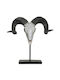 Decorativ Ram Decorative Skull 29,5cm 13738