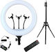 SPV Ring Light 58cm με Τρίποδο Δαπέδου και Βάση για Κινητό