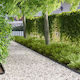 vidaXL Metallic Garden Hedge In Black Colour 50...
