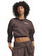 Damen Sweatshirt Braune
