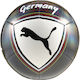 PUMA Soccer Ball Grey