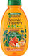 Garnier Biologichen Hipoalergenen Detski Shampoo & Conditioner & Dus Gel s Kaysiya / Tsvetya v Forma na Maslo 250ml