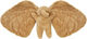 Membantu Plush Elephant