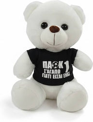 Dorosimo Teddybär 18 cm