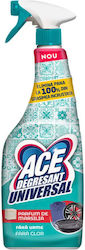 Ace Καθαριστικό Spray για Λίπη 650ml Ace Καθαριστικό Spray για Λίπη 650ml