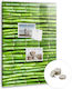 Magnetic Wall Board Bamboo One Magnet 40x60