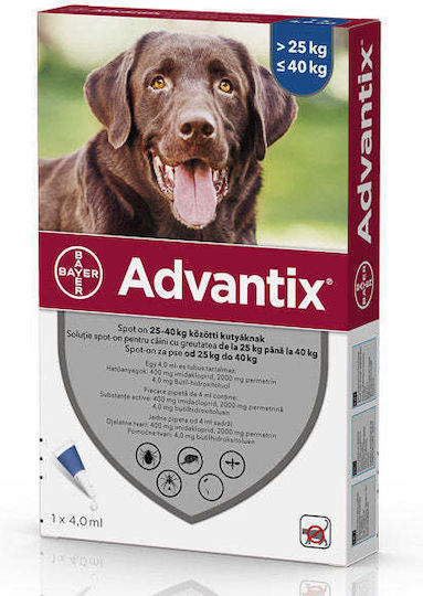 Elanco Elanco Hundeergänzungsmittel & Vitamine Multivitamine für Hunde 4ml für Haut & Haar