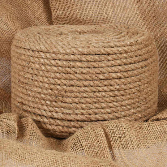 vidaXL Jute Rope 10 Pcs 2 Mm Natural 100 Percent Jute Tossa