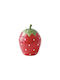 Easylife Jardin Des Fraises Βάζο Γενικής Χρήσης με Καπάκι από Πορσελάνη 12.5x18cm