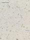 Robert Ryman: Early And Late Dieter Schwarz David Zwirner
