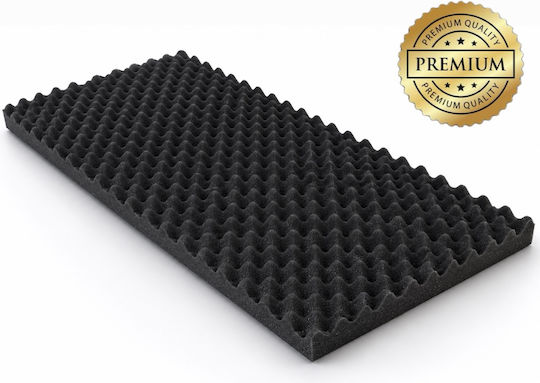 Ichopolis Ichopolis Schallabsorbierendes Blatt 1 Stück 100cm x 50cm x 20mm