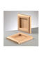 Efco Papart Plastic Photo Frame