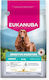 Eukanuba Care Sensitive 12kg Ξηρά Τροφή για Ενήλικους Σκύλους